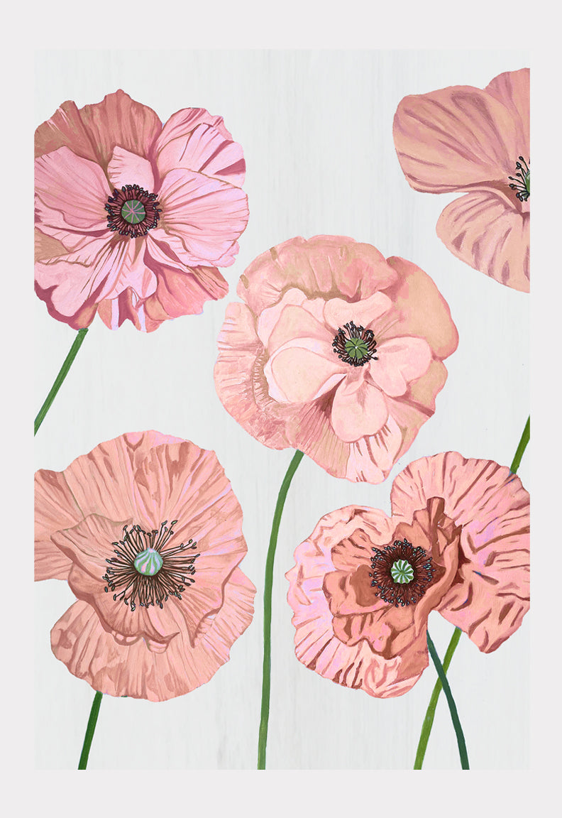 Art Print: Rose Poppies on Pale Grey
