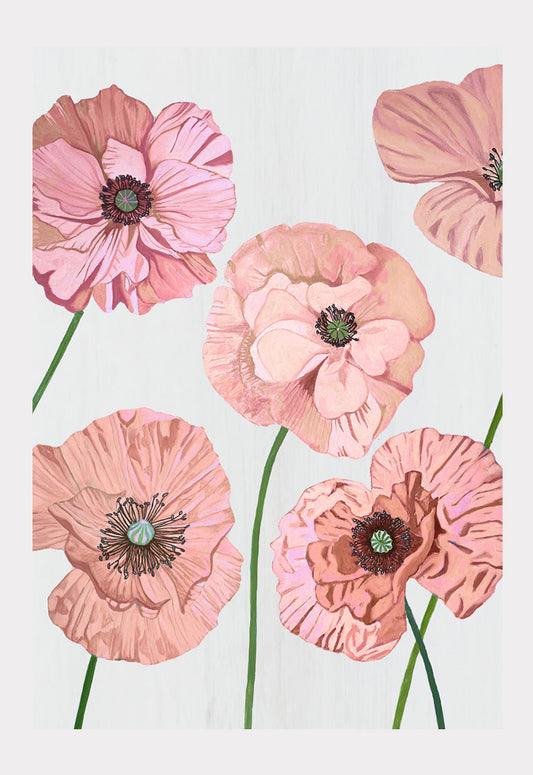 Art Print: Rose Poppies on Pale Grey