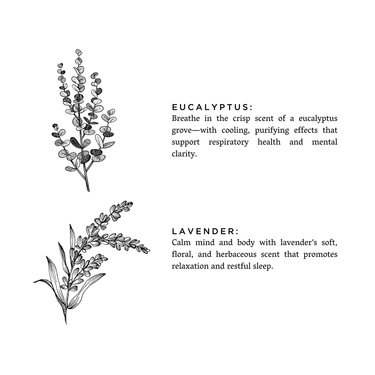 Eucalyptus + Lavender - Reed Diffuser