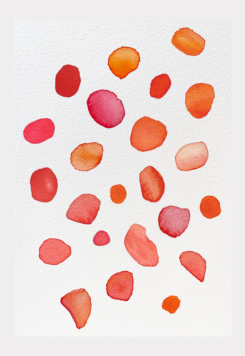 Art Print:  Rose Petals on Snow