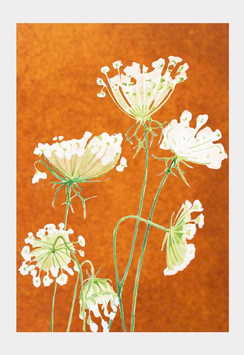 Art Print:  Queen Anne's Lace on Rusty Orange