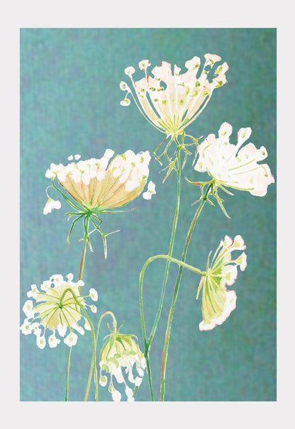 Art Print:  Queen Anne's Lace on Teal