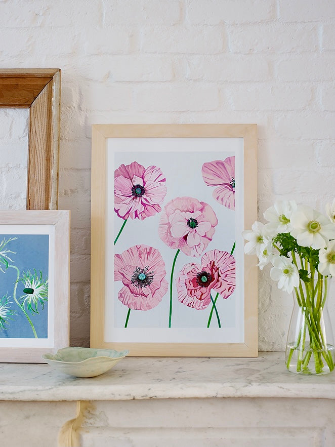 Art Print:  Rose Poppies on Pale Grey